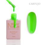 Architect Base CARTUJO