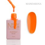 Architect Base MANDARINA